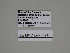  ( - SE MNC Lep 00240)  @12 [ ] Copyright (2010) Unspecified Museum fuer Naturkunde, Chemnitz