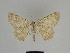  ( - SE MNC Lep 00256)  @14 [ ] Copyright (2010) Unspecified Museum fuer Naturkunde, Chemnitz