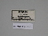  ( - SE MNC Lep 00301)  @11 [ ] Copyright (2010) Unspecified Museum fuer Naturkunde, Chemnitz
