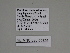  ( - SE MNC Lep 00325)  @11 [ ] Copyright (2010) Unspecified Museum fuer Naturkunde, Chemnitz