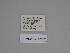  ( - SE MNC Lep 00347)  @11 [ ] Copyright (2010) Unspecified Museum fuer Naturkunde, Chemnitz