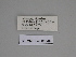  ( - SE MNC Lep 00349)  @11 [ ] Copyright (2010) Unspecified Museum fuer Naturkunde, Chemnitz
