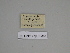  ( - SE MNC Lep 00354)  @11 [ ] Copyright (2010) Unspecified Museum fuer Naturkunde, Chemnitz