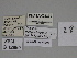  ( - SE MNC Lep 00395)  @11 [ ] Copyright (2010) Unspecified Museum fuer Naturkunde, Chemnitz