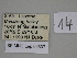  ( - SE MNC Lep 00397)  @11 [ ] Copyright (2010) Unspecified Museum fuer Naturkunde, Chemnitz