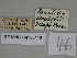  ( - SE MNC Lep 00419)  @11 [ ] Copyright (2010) Unspecified Museum fuer Naturkunde, Chemnitz