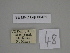  ( - SE MNC Lep 00421)  @11 [ ] Copyright (2010) Unspecified Museum fuer Naturkunde, Chemnitz