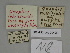  ( - SE MNC Lep 00426)  @11 [ ] Copyright (2010) Unspecified Museum fuer Naturkunde, Chemnitz