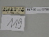  (Gnophos euryta - SE MNC Lep 00431)  @11 [ ] Copyright (2010) Unspecified Museum fuer Naturkunde, Chemnitz