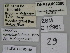  ( - SE MNC Lep 00450)  @11 [ ] Copyright (2010) Unspecified Museum fuer Naturkunde, Chemnitz
