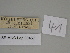  ( - SE MNC Lep 00457)  @11 [ ] Copyright (2010) Unspecified Museum fuer Naturkunde, Chemnitz