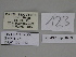  ( - SE MNC Lep 00459)  @11 [ ] Copyright (2010) Unspecified Museum fuer Naturkunde, Chemnitz