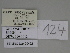  ( - SE MNC Lep 00462)  @11 [ ] Copyright (2010) Unspecified Museum fuer Naturkunde, Chemnitz