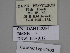  ( - SE MNC Lep 00463)  @11 [ ] Copyright (2010) Unspecified Museum fuer Naturkunde, Chemnitz