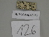  ( - SE MNC Lep 00466)  @11 [ ] Copyright (2010) Unspecified Museum fuer Naturkunde, Chemnitz