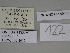  ( - SE MNC Lep 00468)  @11 [ ] Copyright (2010) Unspecified Museum fuer Naturkunde, Chemnitz