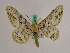  ( - BC ZFMK Lep 00979)  @11 [ ] Copyright (2010) Bavarian State Collection of Zoology (ZSM) SNSB, Zoologische Staatssammlung Muenchen