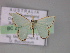  ( - BC ZSM Lep 08431)  @13 [ ] CreativeCommons - Attribution Non-Commercial Share-Alike (2010) Unspecified SNSB, Zoologische Staatssammlung Muenchen