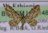  ( - BC ZSM Lep 14836)  @14 [ ] CreativeCommons - Attribution Non-Commercial Share-Alike (2010) Unspecified SNSB, Zoologische Staatssammlung Muenchen