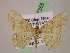  ( - BC ZSM Lep 07355)  @14 [ ] CreativeCommons - Attribution Non-Commercial Share-Alike (2010) Unspecified SNSB, Zoologische Staatssammlung Muenchen