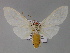  ( - BC ZSM Lep 10255)  @13 [ ] CreativeCommons - Attribution Non-Commercial Share-Alike (2010) Unspecified SNSB, Zoologische Staatssammlung Muenchen