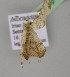  (Oxymacaria AH01NG - BC ZSM Lep 10313)  @11 [ ] CreativeCommons - Attribution Non-Commercial Share-Alike (2010) Unspecified SNSB, Zoologische Staatssammlung Muenchen