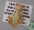 (Zamarada AH01NG - BC ZSM Lep 10359)  @11 [ ] CreativeCommons - Attribution Non-Commercial Share-Alike (2010) Unspecified SNSB, Zoologische Staatssammlung Muenchen