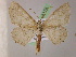  ( - BC ZSM Lep 05172)  @14 [ ] CreativeCommons - Attribution Non-Commercial Share-Alike (2010) Unspecified SNSB, Zoologische Staatssammlung Muenchen