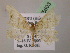  ( - BC ZSM Lep 05603)  @12 [ ] CreativeCommons - Attribution Non-Commercial Share-Alike (2010) Unspecified SNSB, Zoologische Staatssammlung Muenchen