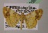  ( - BC ZSM Lep 05637)  @13 [ ] CreativeCommons - Attribution Non-Commercial Share-Alike (2010) Unspecified SNSB, Zoologische Staatssammlung Muenchen