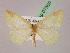  ( - BC ZSM Lep 07509)  @11 [ ] CreativeCommons - Attribution Non-Commercial Share-Alike (2010) Unspecified SNSB, Zoologische Staatssammlung Muenchen