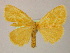  ( - BC ZSM Lep 13285)  @13 [ ] CreativeCommons - Attribution Non-Commercial Share-Alike (2010) Unspecified SNSB, Zoologische Staatssammlung Muenchen
