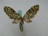  (Sauris AH01Ch - BC ZSM Lep 16121)  @13 [ ] CreativeCommons - Attribution Non-Commercial Share-Alike (2010) Unspecified SNSB, Zoologische Staatssammlung Muenchen