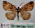  ( - BC ZSM Lep 18763)  @12 [ ] CreativeCommons - Attribution Non-Commercial Share-Alike (2010) Unspecified SNSB, Zoologische Staatssammlung Muenchen