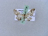  ( - BC ZSM Lep 21025)  @13 [ ] CreativeCommons - Attribution Non-Commercial Share-Alike (2010) Unspecified SNSB, Zoologische Staatssammlung Muenchen
