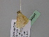  ( - BC ZSM Lep 24541)  @12 [ ] CreativeCommons - Attribution Non-Commercial Share-Alike (2010) Unspecified SNSB, Zoologische Staatssammlung Muenchen