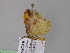  ( - BC ZSM Lep 24579)  @12 [ ] CreativeCommons - Attribution Non-Commercial Share-Alike (2010) Unspecified SNSB, Zoologische Staatssammlung Muenchen
