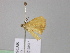  ( - BC ZSM Lep 24589)  @11 [ ] CreativeCommons - Attribution Non-Commercial Share-Alike (2010) Unspecified SNSB, Zoologische Staatssammlung Muenchen