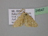  ( - BC ZSM Lep 24647)  @12 [ ] CreativeCommons - Attribution Non-Commercial Share-Alike (2010) Unspecified SNSB, Zoologische Staatssammlung Muenchen