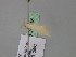  ( - BC ZSM Lep 24648)  @11 [ ] CreativeCommons - Attribution Non-Commercial Share-Alike (2010) Unspecified SNSB, Zoologische Staatssammlung Muenchen