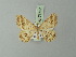  ( - BC ZSM Lep 73727)  @11 [ ] CreativeCommons - Attribution Non-Commercial Share-Alike (2015) Axel Hausmann/Bavarian State Collection of Zoology (ZSM) SNSB, Zoologische Staatssammlung Muenchen