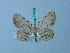  (Rhoptria semiorbiculata - BC ZSM Lep 74734)  @13 [ ] CreativeCommons - Attribution Non-Commercial Share-Alike (2015) Axel Hausmann/Bavarian State Collection of Zoology (ZSM) SNSB, Zoologische Staatssammlung Muenchen