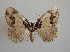  ( - BC MI 0026)  @13 [ ] Unspecified (default): All Rights Reserved  Unspecified Unspecified