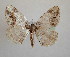  ( - BC MI 0027)  @13 [ ] Unspecified (default): All Rights Reserved  Unspecified Unspecified