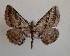  ( - BC MI 0032)  @13 [ ] Unspecified (default): All Rights Reserved  Unspecified Unspecified