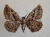  ( - BC MI 0033)  @13 [ ] Unspecified (default): All Rights Reserved  Unspecified Unspecified