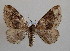  ( - BC MI 0039)  @13 [ ] Unspecified (default): All Rights Reserved  Unspecified Unspecified