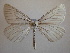  ( - BC MI 0057)  @13 [ ] Unspecified (default): All Rights Reserved  Unspecified Unspecified