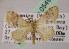  ( - BC ZSM Lep 05494)  @13 [ ] CreativeCommons - Attribution Non-Commercial Share-Alike (2010) Unspecified SNSB, Zoologische Staatssammlung Muenchen