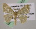  ( - BC ZSM Lep 05509)  @14 [ ] CreativeCommons - Attribution Non-Commercial Share-Alike (2010) Unspecified SNSB, Zoologische Staatssammlung Muenchen
